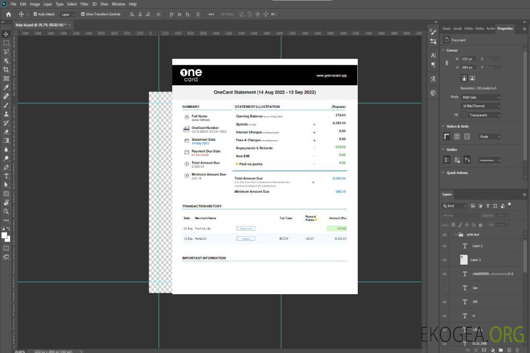 Modèle Word et PDF de déclaration USA 1ONE CARD template Modèle Word et PDF de déclaration USA 1ONE CARD template